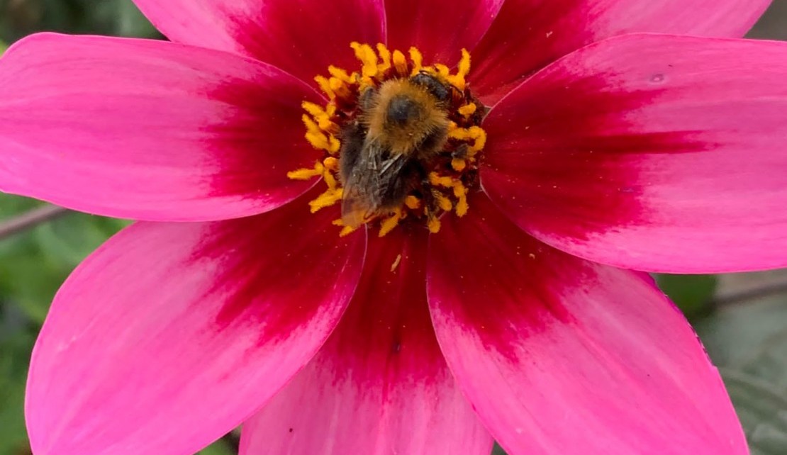 PHOTO Webiste Ingrid 2