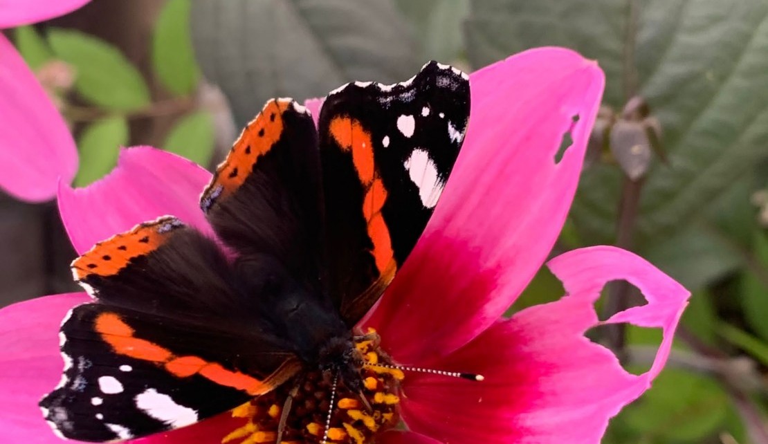 PHOTO Webiste Ingrid 3